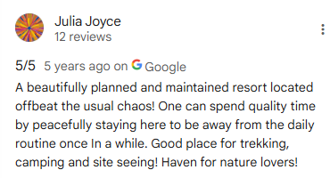 Google Review